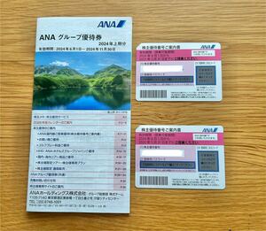 最新 ANA 株主優待券 株主割引券 (2枚セット) 送料無料