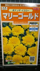 ３袋セット マリーゴールド ボナンザ イエロー 種 郵便は送料無料