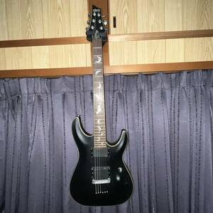 SCHECTER (シェクター) DAMIEN PLATINUM-6 / DIAMOND Series