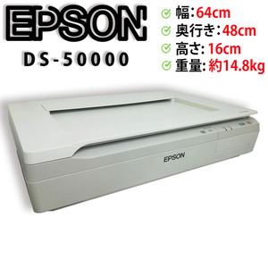 【スキャン:20枚以下】EPSON 卓上型 フラットベッド カラースキャナー A3対応 DS-50000 日焼けあり(少ない)【H24120314】