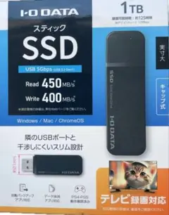 I-O DATA スティックSSD 1TB