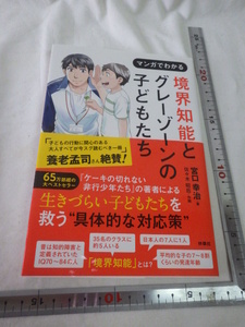 マンガでわかる境界知能とグレーゾーンの子どもたち　ケーキの切れない～著者による具体策