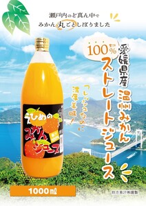 ２ケースセットでお得、地元道の駅にも出品愛媛県産えひめみかんジュース1000㎜×12本入りストレート果汁