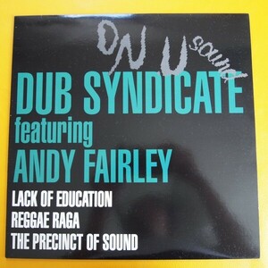 【12】Dub Syndicate Featuring Andy Fairley Lack Of Education ON-U SOUND★エスノエキゾ ダブ / Mark Stewart、African Head Charge