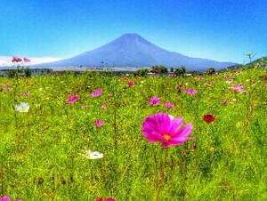 世界遺産 富士山 写真 A4又は2L版 額付き