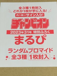 452 まるぴ ランダムブロマイド 全3種1枚封入 新品未開封 少年チャンピオン