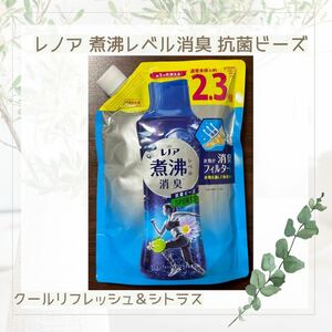 レノア 煮沸レベル消臭 抗菌ビーズ クールリフレッシュ＆シトラス 詰め替え