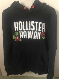 HOLLISTER ホリスター パーカー メンズ Ｓ