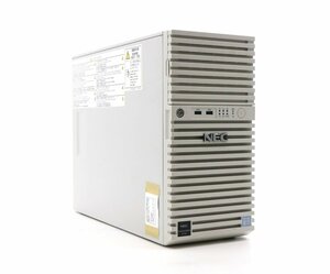 NEC Express5800/T110i Xeon E3-1220 v6 3GHz 4GB 500GBx2台(SATA3.5インチ/RAID1構成) DVD-ROM