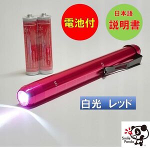 LED ペンライト 医療用 白光 レッド 電池付き ソフトボタン ノック式 瞳孔計 スケール付 ナース 看護