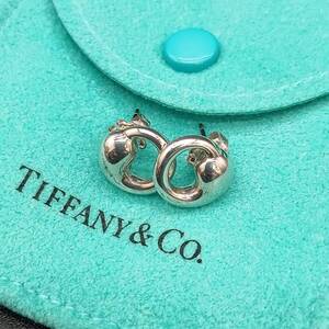 【美品】 Tiffany&Co. ティファニー エターナルサークル ピアス 両耳 SV925 シルバー メンズ レディース 箱 保存袋付