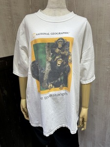 00s GILDAN NATIONAL GEOGRAPHIC チンパンジー アニマルプリント ネイチャー Tシャツ