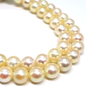 1円〜!!テリ良し!!▼アコヤ本真珠ネックレス▼J 約21.0g 約37.5cm 約6.0-6.5mm珠 パール pearl ジュエリー jewelry DD0/zz S87