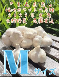 青森県産にんにくMサイズ2キロ