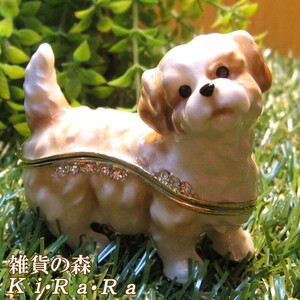 置物 動物 可愛い 犬の置物　シーズー　小物入れ　いぬ　イヌ　ジュエリーケース　宝石箱　トリケンボックス　ドッグ