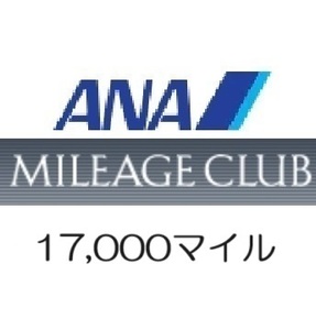 全日空ANA17,000マイル　希望の口座へ加算