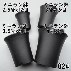 【024プラ鉢、プラスティック鉢 - 新品】ミニラン2.5号×12、3号×16、3.5号×8、4号×6