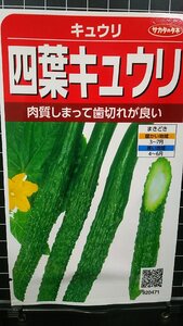 ３袋セット 四葉 キュウリ スーヨー キューリ 胡瓜 種 郵便は送料無料