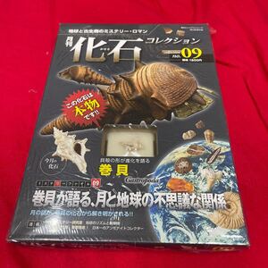 複　Y501. 9. 未開封 化石付き 月刊化石コレクション NO.09 地球と古生物のミステリー・ロマン　保管品　シュリンク付き　