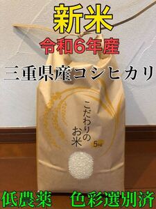 新米　令和6年　2024年産　農家直送　三重県産　コシヒカリ　こしひかり　お米　精米　5キロ 5kg おこめ　ごはん　安心食材