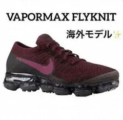 最終価格【♕極レア✨】NIKE AIR VAPORMAX FLYKNIT