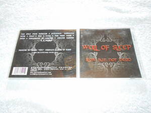 WALL OF SLEEP ／ハンガリー発・檄ドゥーム／ Black Sabbath 曲名より／ Mood 繋がり ／ ウォール・オブ・スリープ