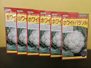 カリフラワー種　ホワイトパラソル　１ml×6袋　未開封有効期限切れ