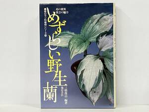 趣味のラン科植物シリーズ3 めずらしい野生蘭