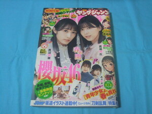 ★中古■週刊ヤングジャンプ2021年 No.20号　■渡辺梨加 渡邉理佐 関有美子 武元唯衣 ポスター付/巻頭カラー 青年少女よ、春を貪れ。