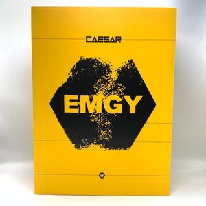 CAESAR EMGY NYC TRG フィギュア WORLD WAR ROBOT threeA スリーエー 【現状品】 [32-1127-S6]