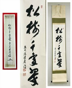 【千寿】大徳寺派 宝林寺 福本積應 松寿千年翠 一行 紙本 dd324◆箱/茶道具/古美術/時代品/掛軸100017694