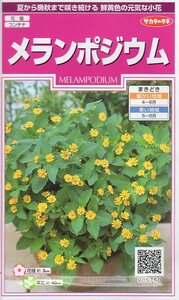 ★注意★発芽有効期限切★　◆メランポジウム◆　暑さに強い小花