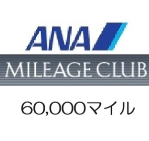 【即決 匿名】全日空ANA60,000マイル　希望の口座へ加算