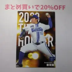 ・1枚 T-02東克樹DeNAタイトルホルダープロ野球チップス2024第1弾