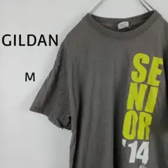 GILDAN　半袖　Tシャツ　M　グレー　SENIOR’１４
