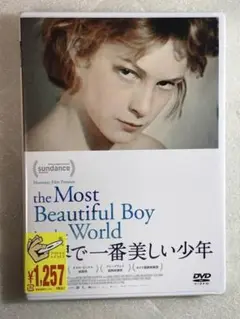 DVD新品 世界で一番美しい少年