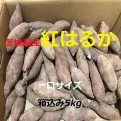 【茨城県産】熟成さつまいも　2S・S紅はるか　箱込み5KG / ヤマト