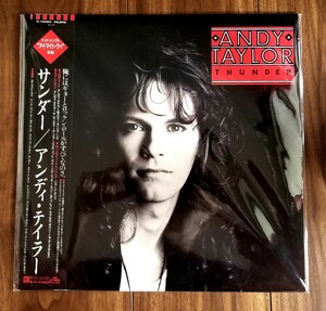 名盤(レコード)/アンディ・テイラー/サンダー 帯付 /ライナーノーツあり/欠品なし/デュラン・デュラン/