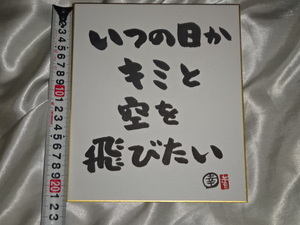 送料185円・棚7■ 坂崎幸之助　書写真展の書 メッセージ色紙「いつの日かキミと空を飛びたい」　THE ALFEE アルフィー