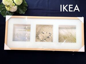 IKEA 額縁　インテリアアート　額　イケア　インテリア