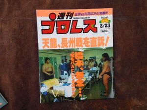 週刊プロレス　1993　3月No.541　天龍　長州　橋本　天龍　阿修羅　後藤　リッキー　大仁田　昭和　プロレス　新日本　全日本　WWF