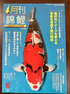月刊 錦鯉／2011年6月号／塩沢のイメージを変える／革新を目指す関口昭和