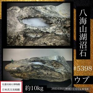 【信濃美術石博物館】 水石 盆栽 八海山石 ウブ 溜まり石 横40×高19×奥行12(cm)10.78kg骨董盆石古美術鑑賞石観賞石太湖石中国古玩 5398