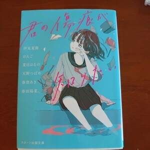 君の傷痕が知りたい （スターツ出版文庫　） 汐見夏衛／著　けんご／著　夏目はるの／著　天野つばめ／著　春登あき／著　春田陽菜／著