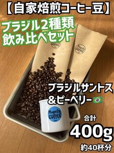 【匿名配送】自家焙煎コーヒー豆　レア品種！ブラジル2種飲み比べ珈琲豆セット(ブラジルサントス/ピーベリー)400g 約40杯分　(豆 or 粉)