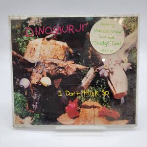 ⑨ DINOSAUR Jr. / I DON