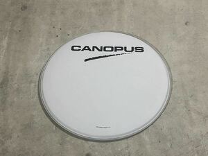 CANOPUS カノウプス バスドラム ヘッド 20インチ