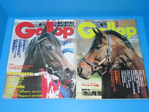 匿名送料無料 ★週刊Gallop 2冊セット1994 即決！パラダイスクリーク エルナンド ヤマニンパラダイス マーベラスクラウン エイシンバーリン