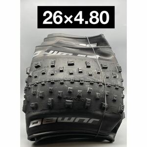 schwalbe jumbo jim 26×4.80 2本セット　タイヤ　新品