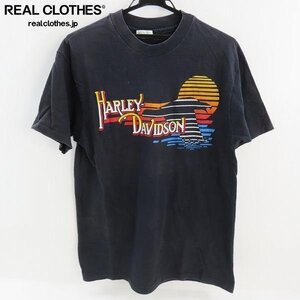 ☆Hanes/ヘインズ HARLEY DAVIDSON/ハーレーダビッドソン ビンテージ Tシャツ/L /UPK